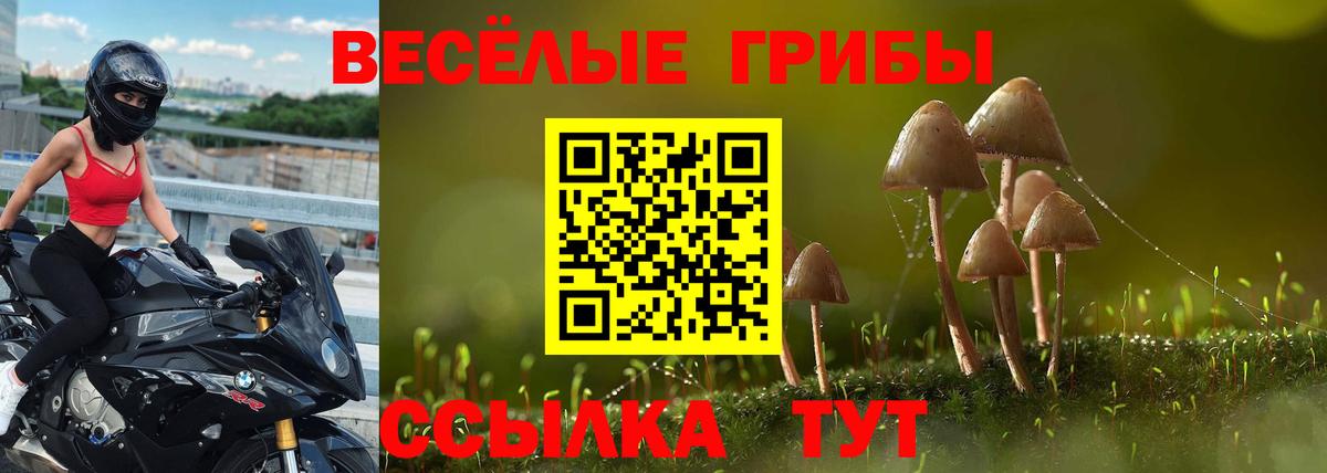 Галлюциногенные грибы мухоморы Карасук