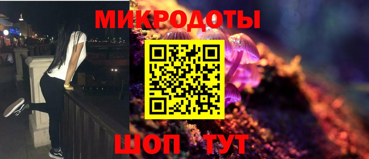 Карасук  Псилоцибиновые грибы мухоморы  Вход с VPN 