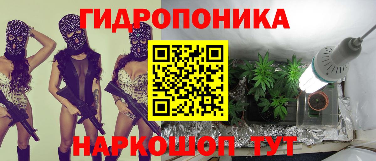 Конопля Ganja  Вход с VPN  Канабис сатива  Карасук  Марихуана гибрид  Каннабис конопля 